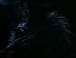 extant_XenaWarriorPrincess_4x03_AFamilyAffair_03229
