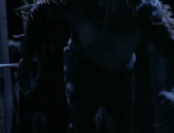 extant_XenaWarriorPrincess_4x03_AFamilyAffair_03255