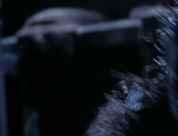 extant_XenaWarriorPrincess_4x03_AFamilyAffair_03256