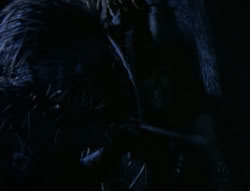 extant_XenaWarriorPrincess_4x03_AFamilyAffair_03261
