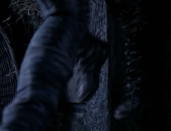 extant_XenaWarriorPrincess_4x03_AFamilyAffair_03264