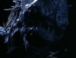 extant_XenaWarriorPrincess_4x03_AFamilyAffair_03272