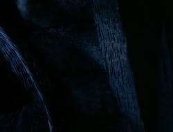 extant_XenaWarriorPrincess_4x03_AFamilyAffair_03298