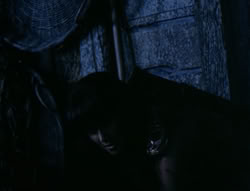 extant_XenaWarriorPrincess_4x03_AFamilyAffair_03322