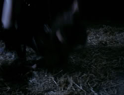 extant_XenaWarriorPrincess_4x03_AFamilyAffair_03366