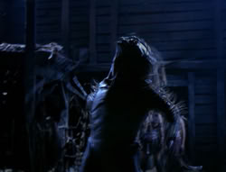 extant_XenaWarriorPrincess_4x03_AFamilyAffair_03390