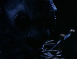 extant_XenaWarriorPrincess_4x03_AFamilyAffair_03406