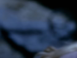 extant_XenaWarriorPrincess_4x03_AFamilyAffair_03487