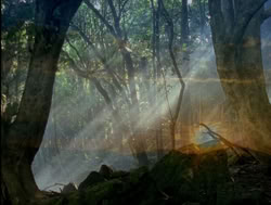 extant_XenaWarriorPrincess_4x04-InSicknessAndInHell_00009