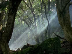 extant_XenaWarriorPrincess_4x04-InSicknessAndInHell_00010