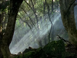 extant_XenaWarriorPrincess_4x04-InSicknessAndInHell_00011