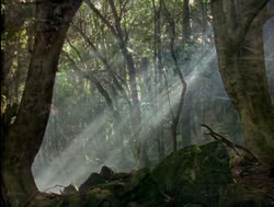 extant_XenaWarriorPrincess_4x04-InSicknessAndInHell_00012