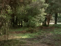 extant_XenaWarriorPrincess_4x04-InSicknessAndInHell_00124