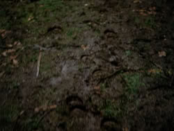 extant_XenaWarriorPrincess_4x04-InSicknessAndInHell_00132