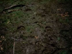 extant_XenaWarriorPrincess_4x04-InSicknessAndInHell_00133