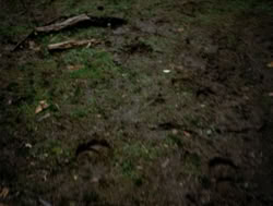 extant_XenaWarriorPrincess_4x04-InSicknessAndInHell_00134