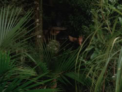 extant_XenaWarriorPrincess_4x04-InSicknessAndInHell_00214