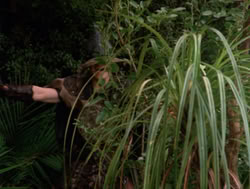extant_XenaWarriorPrincess_4x04-InSicknessAndInHell_00218