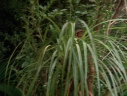extant_XenaWarriorPrincess_4x04-InSicknessAndInHell_00219