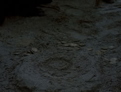 extant_XenaWarriorPrincess_4x04-InSicknessAndInHell_00563