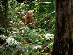 extant_XenaWarriorPrincess_4x04-InSicknessAndInHell_00646