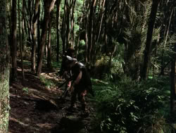 extant_XenaWarriorPrincess_4x04-InSicknessAndInHell_00749