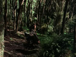extant_XenaWarriorPrincess_4x04-InSicknessAndInHell_00750