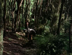 extant_XenaWarriorPrincess_4x04-InSicknessAndInHell_00758