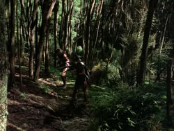 extant_XenaWarriorPrincess_4x04-InSicknessAndInHell_00760