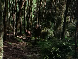 extant_XenaWarriorPrincess_4x04-InSicknessAndInHell_00763