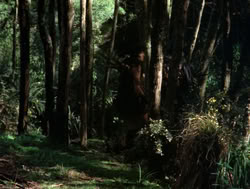 extant_XenaWarriorPrincess_4x04-InSicknessAndInHell_00795