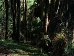 extant_XenaWarriorPrincess_4x04-InSicknessAndInHell_00796