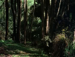 extant_XenaWarriorPrincess_4x04-InSicknessAndInHell_00797