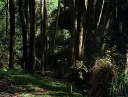 extant_XenaWarriorPrincess_4x04-InSicknessAndInHell_00798