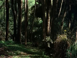 extant_XenaWarriorPrincess_4x04-InSicknessAndInHell_00800