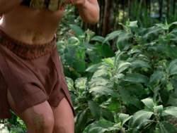 extant_XenaWarriorPrincess_4x04-InSicknessAndInHell_00804