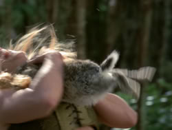 extant_XenaWarriorPrincess_4x04-InSicknessAndInHell_00808