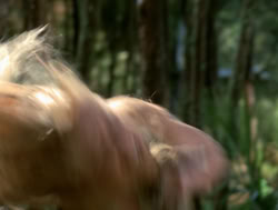 extant_XenaWarriorPrincess_4x04-InSicknessAndInHell_00815