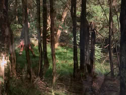 extant_XenaWarriorPrincess_4x04-InSicknessAndInHell_01239