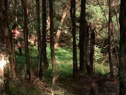extant_XenaWarriorPrincess_4x04-InSicknessAndInHell_01240
