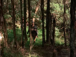 extant_XenaWarriorPrincess_4x04-InSicknessAndInHell_01243