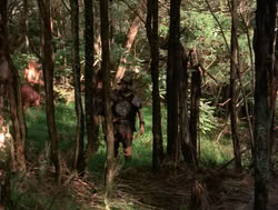 extant_XenaWarriorPrincess_4x04-InSicknessAndInHell_01244
