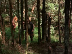 extant_XenaWarriorPrincess_4x04-InSicknessAndInHell_01245