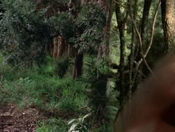 extant_XenaWarriorPrincess_4x04-InSicknessAndInHell_01276
