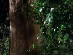 extant_XenaWarriorPrincess_4x04-InSicknessAndInHell_01331