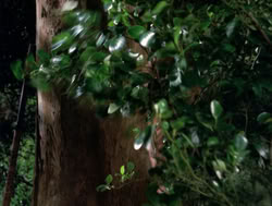 extant_XenaWarriorPrincess_4x04-InSicknessAndInHell_01332