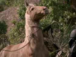 extant_XenaWarriorPrincess_4x04-InSicknessAndInHell_01358