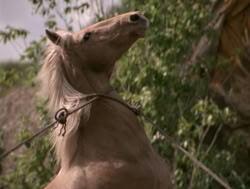 extant_XenaWarriorPrincess_4x04-InSicknessAndInHell_01359
