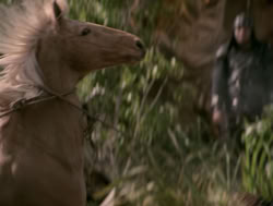 extant_XenaWarriorPrincess_4x04-InSicknessAndInHell_01360