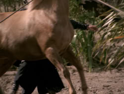 extant_XenaWarriorPrincess_4x04-InSicknessAndInHell_01362